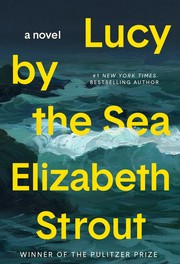 Lucy by the Sea: A Novel