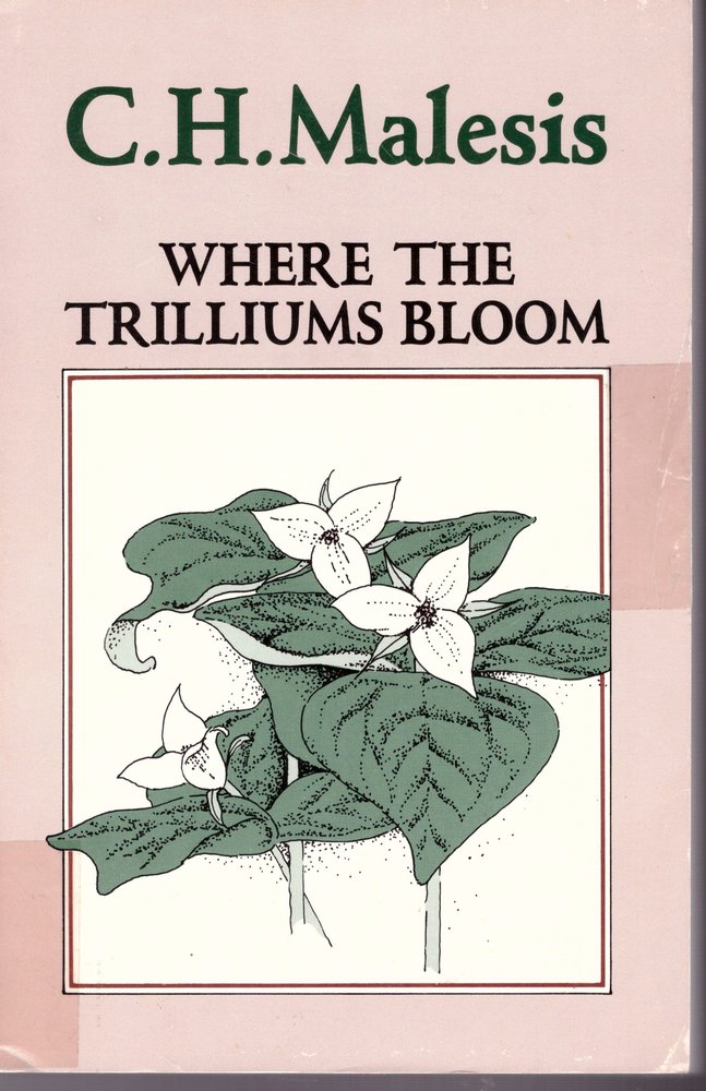 Where the trilliums bloom