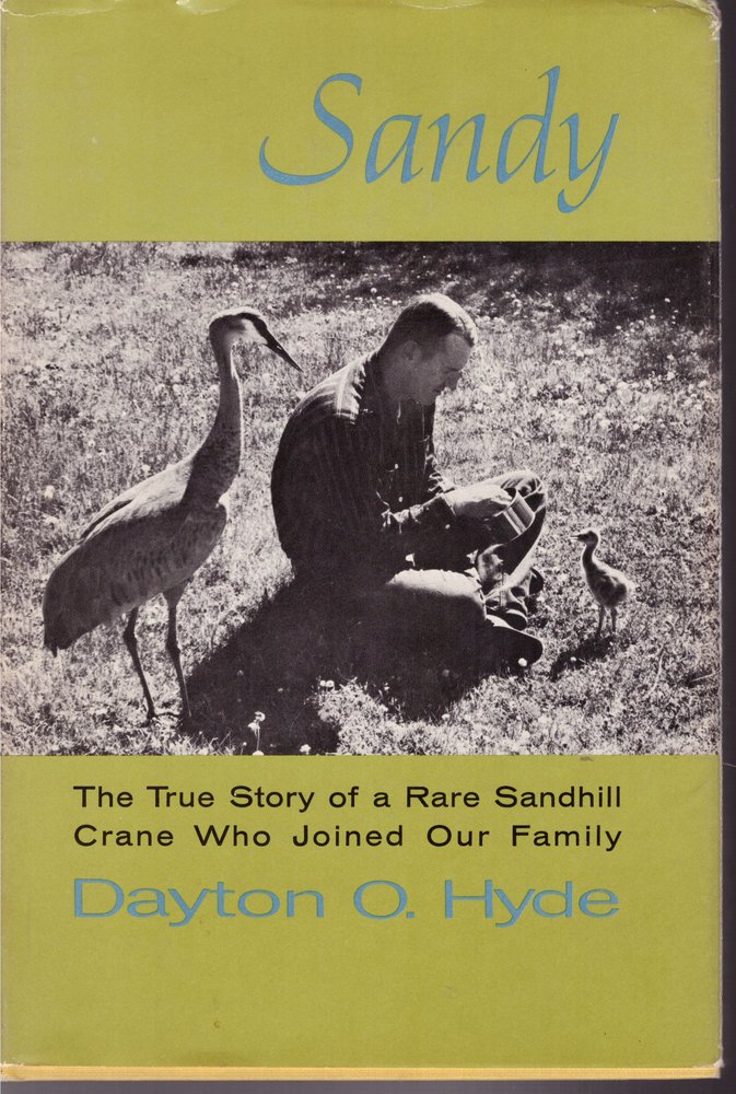 Sandy: The True Story Of A Rare Sandhill Crane Who Joined Our Family